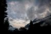 Evening Vista