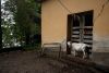 Neighbor