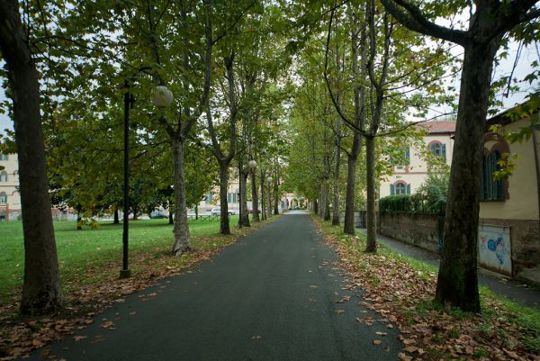 Roadway