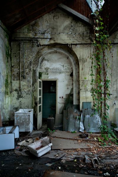 Hanging Garden