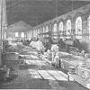 Manicomio di Collegno (Certosa) Historical Image