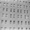 Pilgrim State Hospital Historical Image