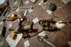 Rusted Jewels