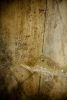 Dusty Webs
