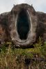 Maw