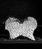 Angel Wings