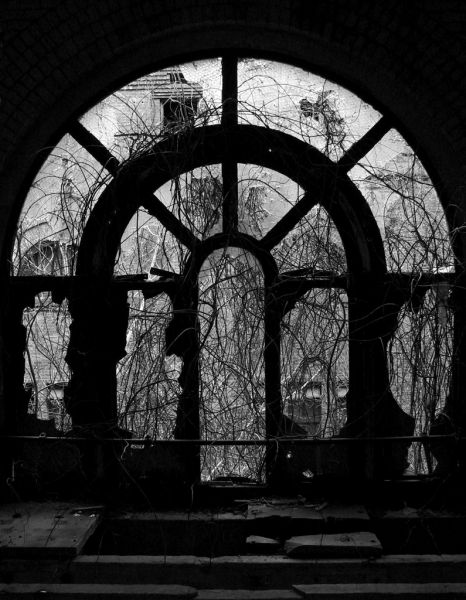 Arched Window