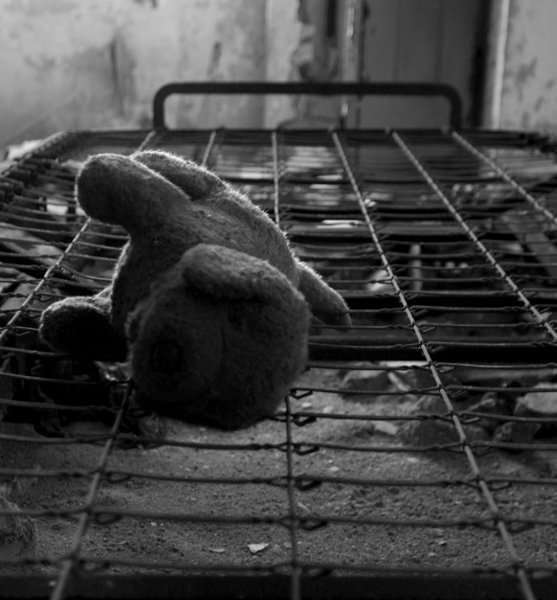 Stuffed Animal