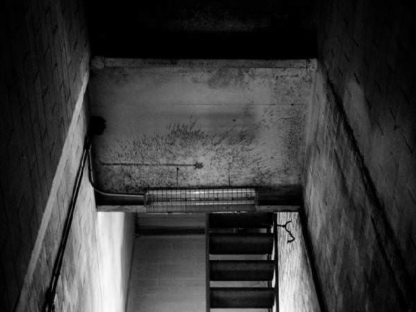 Looking Up Stairwell