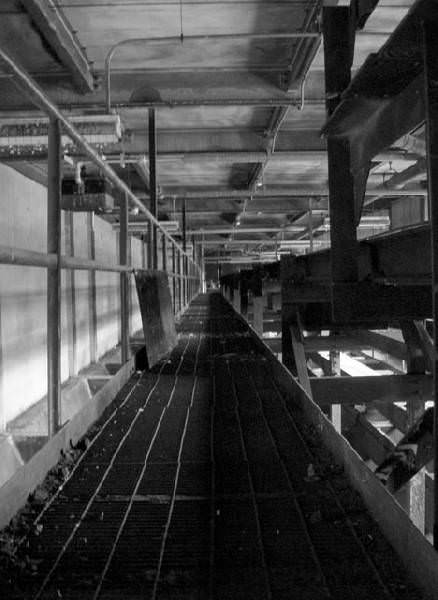 Catwalk