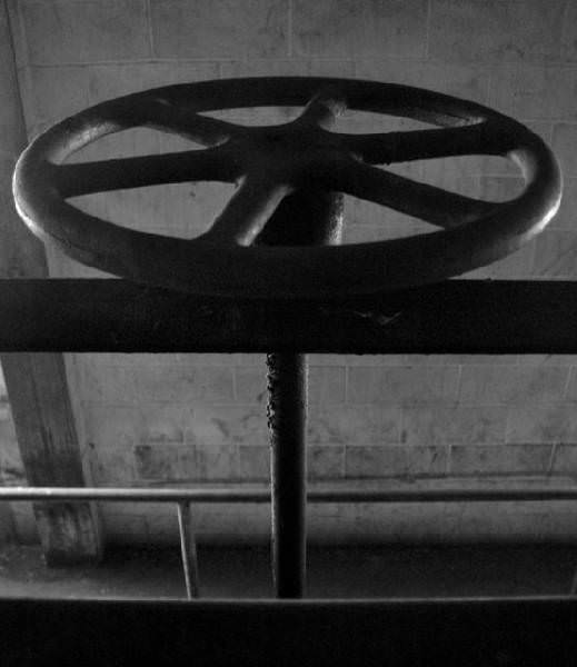 Wheel