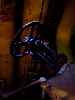 Valve