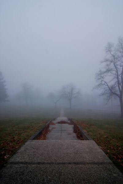 Walk