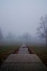 Walk