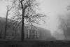 Knoll