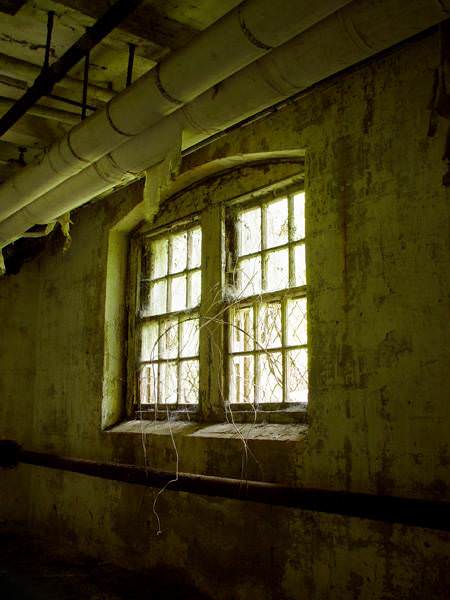 Basement Window