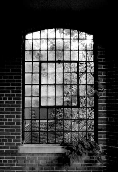 Window