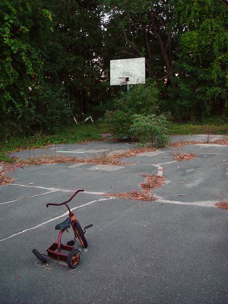Basketball Net