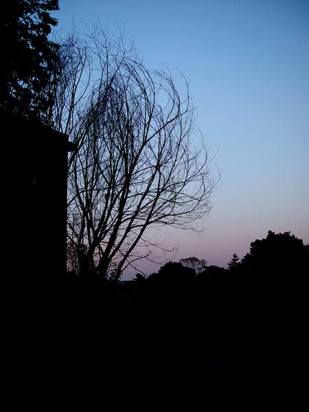 Dusk