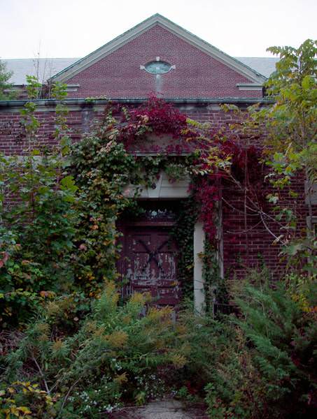 Wisteria Front Entrance
