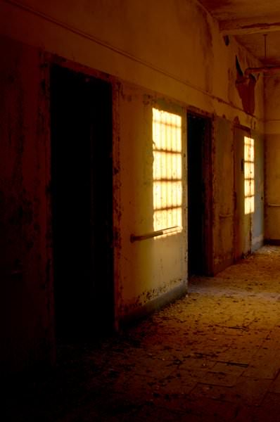 Windows and Doors