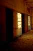 Windows and Doors