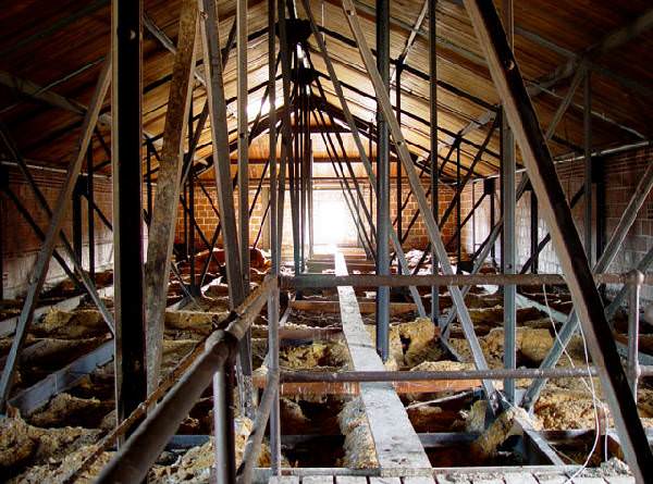 Attic
