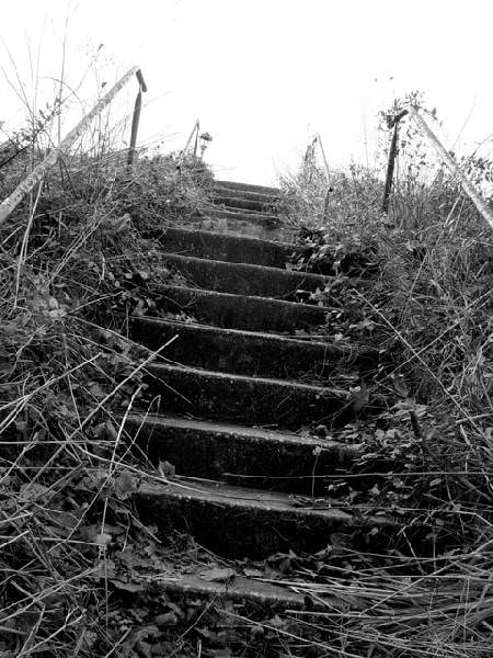 Overgrown Stairs