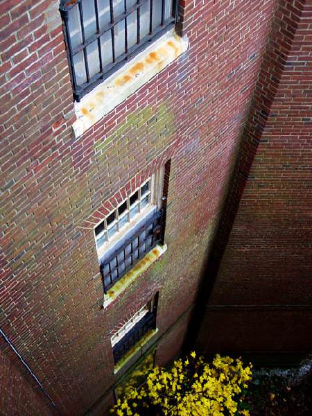 Straight Down