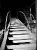 Attic Ladder