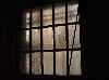 Basement Window