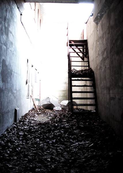 Basement Escape