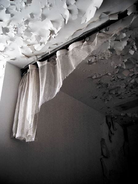 Privacy Curtain