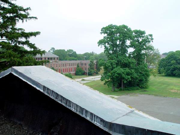 The Grounds
