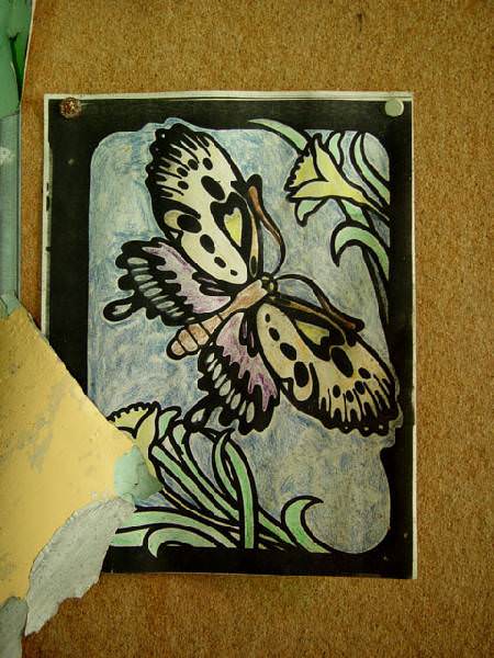 Butterfly Artwork