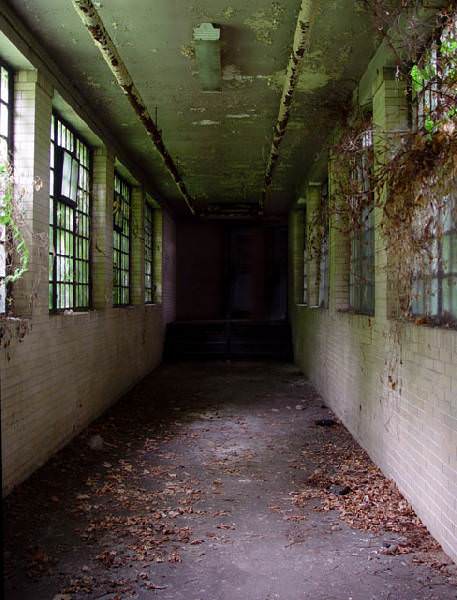 Leaf Corridor