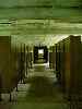 Dorms