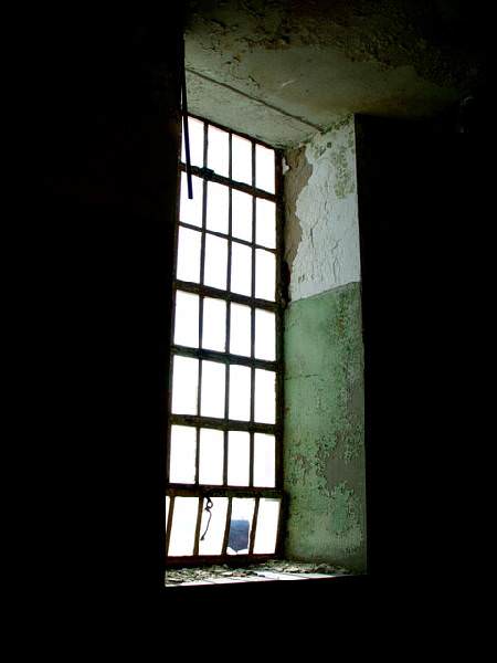 Window