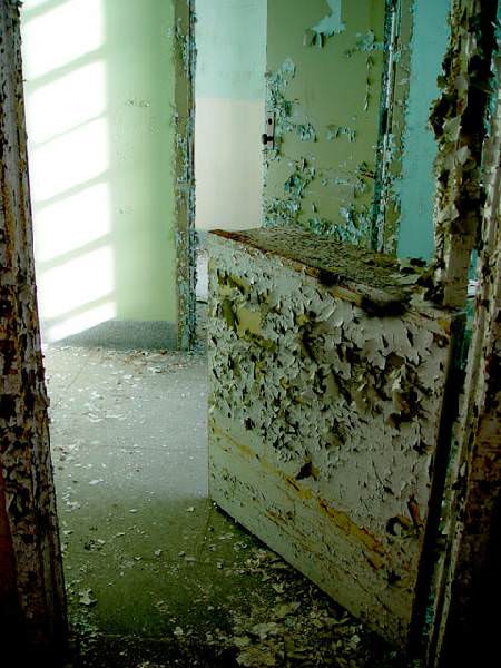 Split Door