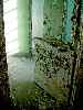 Split Door