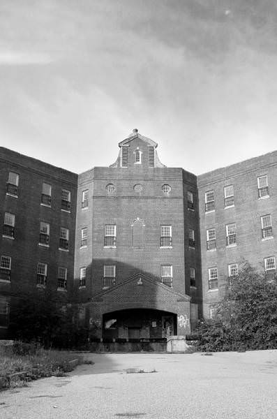 The Quad