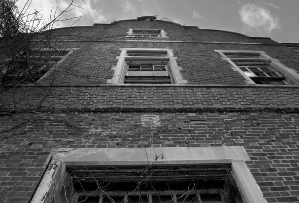 Look Up