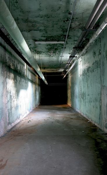 Patient Tunnel
