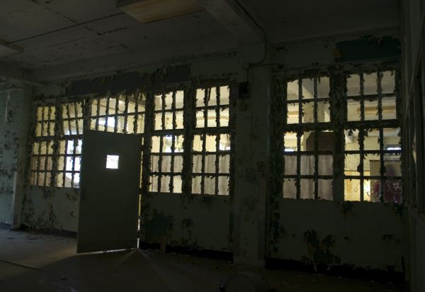 Ward View