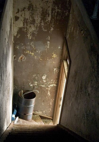 Attic Steps