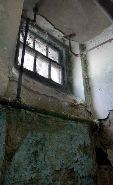 Cobweb Window