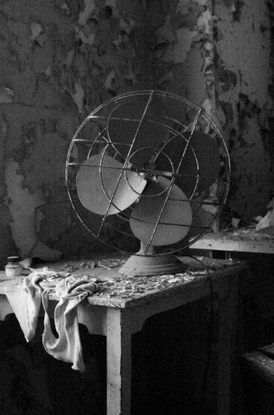 Fan