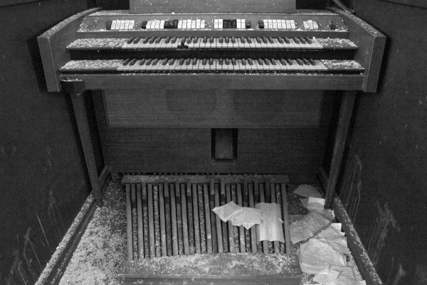Organ