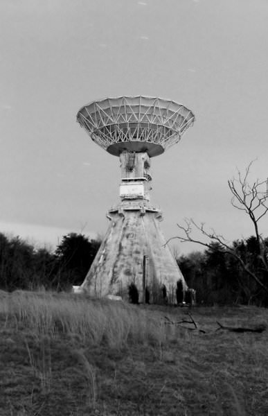 The Dish