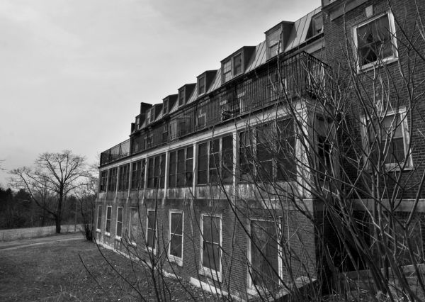 Terrace and Solariums